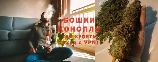 mdpv Белокуриха