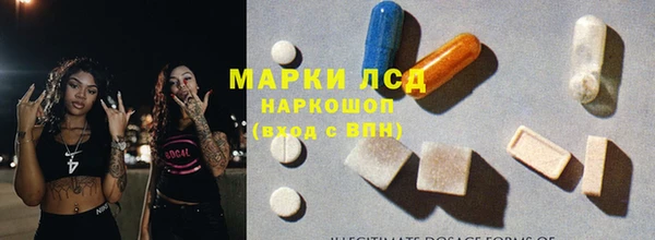 сатива Белоозёрский