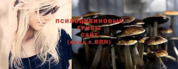 mdpv Белокуриха
