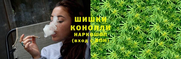 сатива Белоозёрский